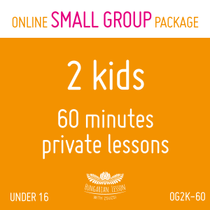 ONLINE private lessons package for kids in pair (60min x 10) (mns. egyéb okt. 8559)