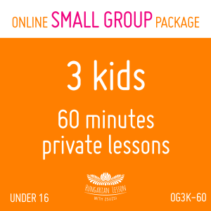 ONLINE private lessons package for 3 kids (60min x 10) (mns. egyéb okt. 8559)