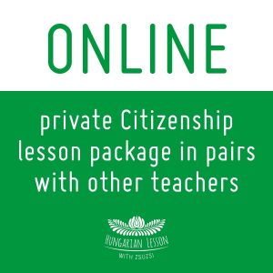 private-citizenship-lesson-package-in-pairs-with-other-teachers
